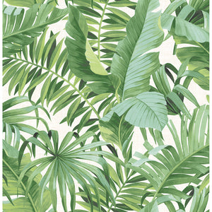 Botanical Wallpaper - BRE003