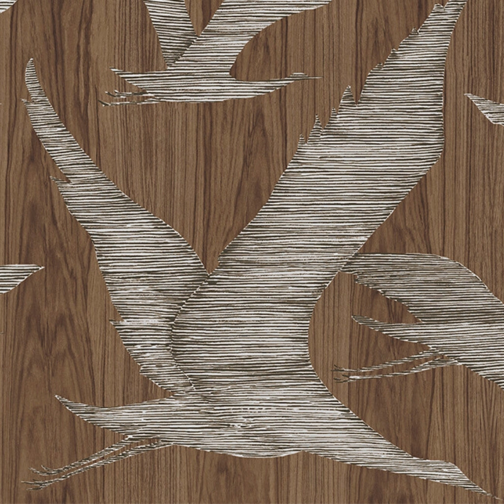 zoomed in flying birds wallpaper. Brown wooden background